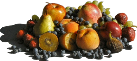 Bunch of Fruit Header Image